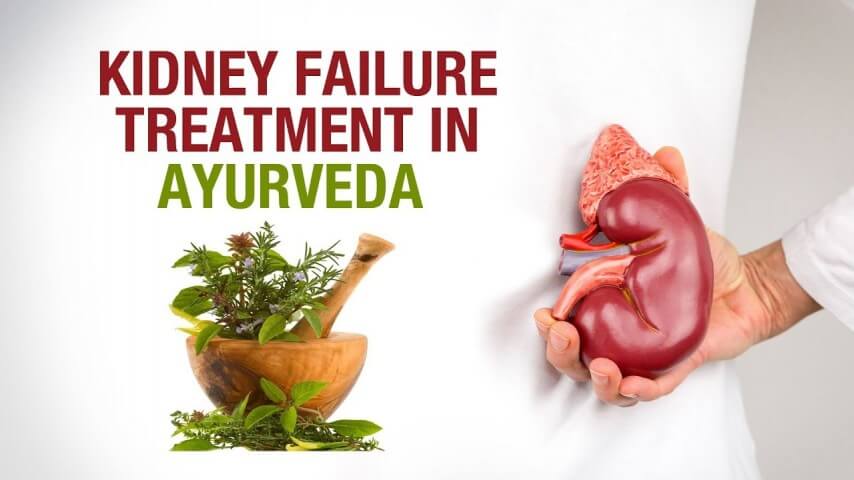 Ayurvedic Kidney Treatment in Noida – Natural Healing at Ayuquo Centrum Ayurvedic Kidney Treatment in Noida – Natural Healing at Ayuquo Centrum